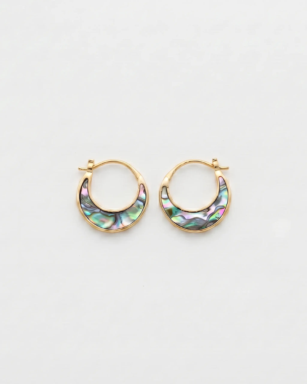 Abalone