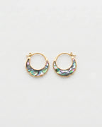Abalone