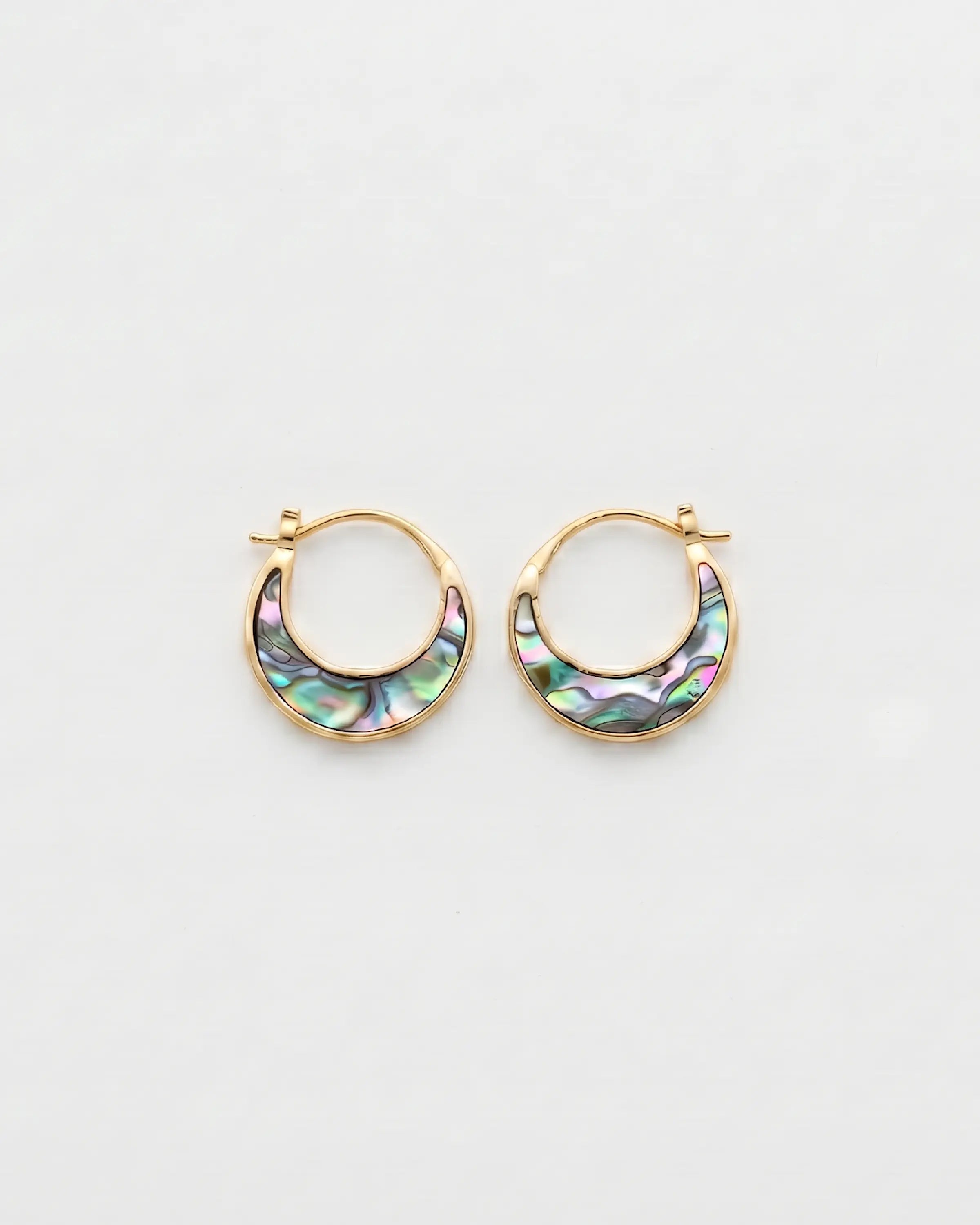 Abalone