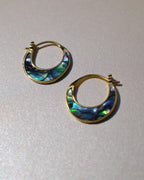 Abalone