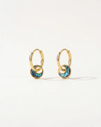 Abalone