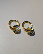 Abalone